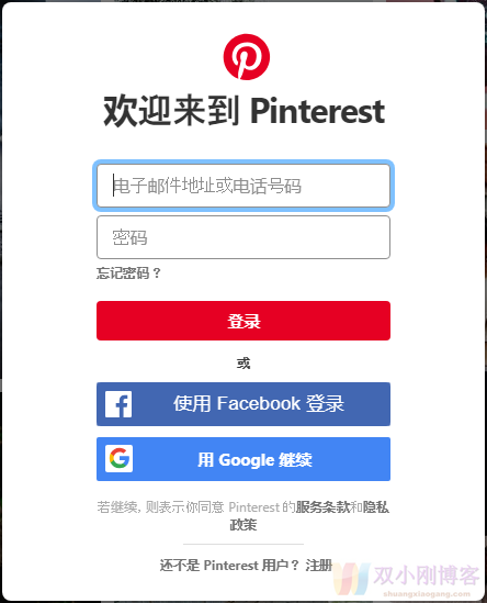 国外网赚-利用pinterest月赚300美元！