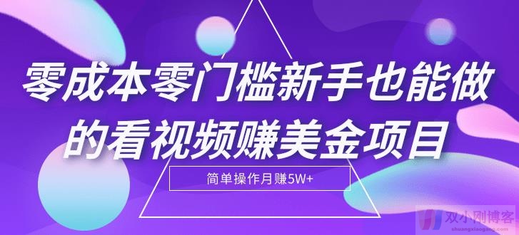 零成本零门槛新手也能做的看视频赚美金项目，轻松月赚5W+【视频教程】