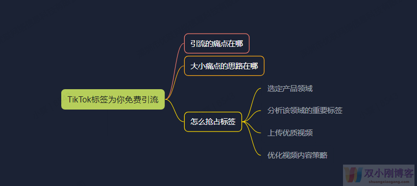 实战，抢占TikTok标签变现玩法，建议收藏