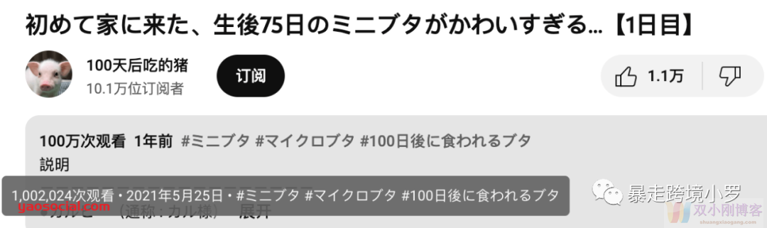 如何让3个月暴涨10万YouTube粉丝？