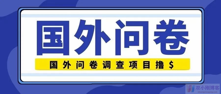 做海外问卷调查，一天赚了100美金~