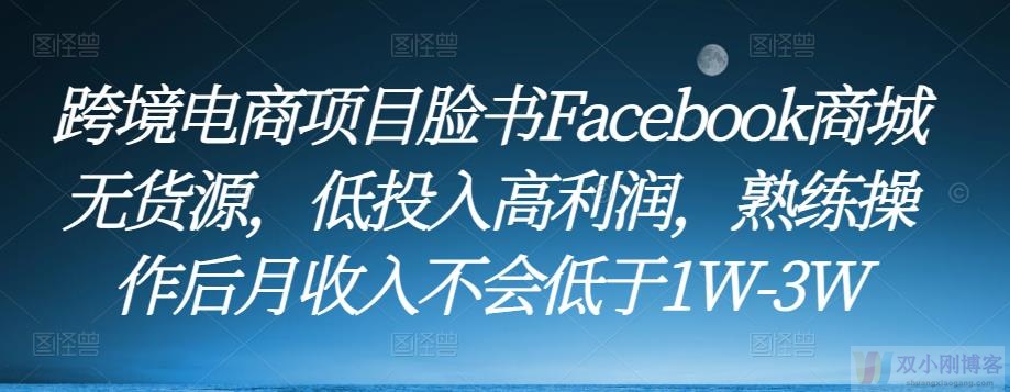 跨境电商项目脸书FACEBOOK商城无货源，低投入高利润，熟练操作后月收入不会低于1W-3W