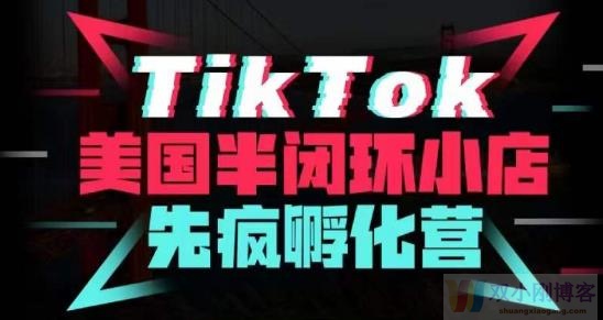 【Tiktok shopping】TIKTOK美国半闭环小店孵化营，抢占TIKTOK美国蓝海市场，开店、运营、带货、投流全实操