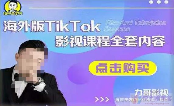 海外TIKTOK影视课程全套，从搭建渠道，到如何正确使用账号，到未来的变现渠道等