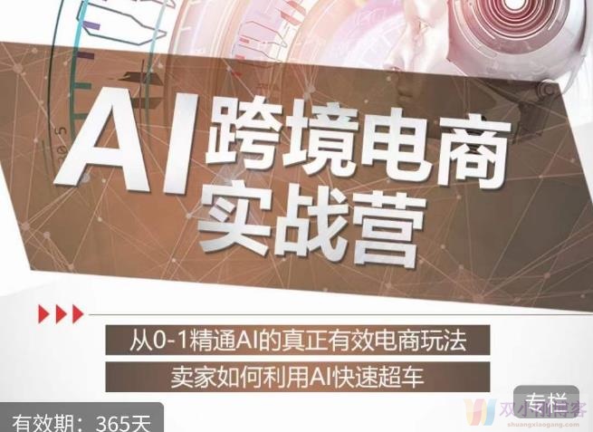 白龙老师·AI跨境电商实战营：从0-1精通AL的真正有效电商玩法，卖家如何利用AL快速超车