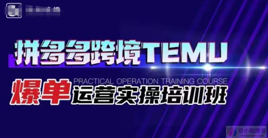 拼多多跨境TEMU爆单运营实操培训班，海外拼多多的选品、运营、爆单