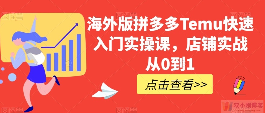 海外版拼多多TEMU快速入门实操课，店铺实战从0到1