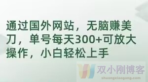 通过国外网站，无脑赚美刀，单号每天300+可放大操作，小白轻松上手