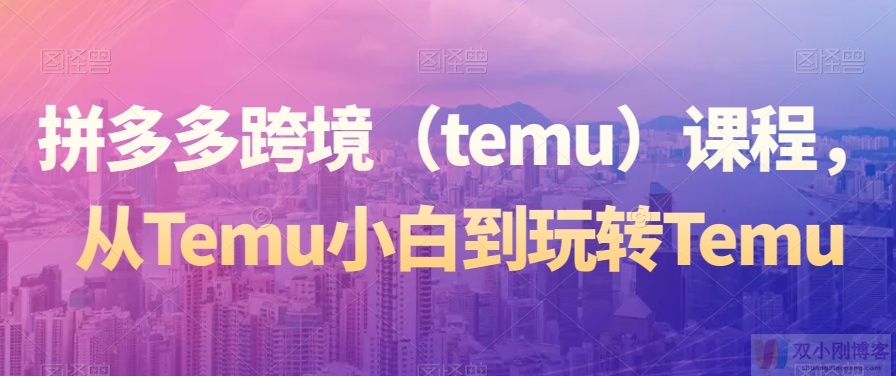 拼多多跨境（TEMU）课程，从TEMU小白到玩转TEMU