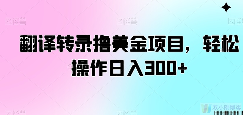 翻译转录撸美金项目，轻松操作日入300+