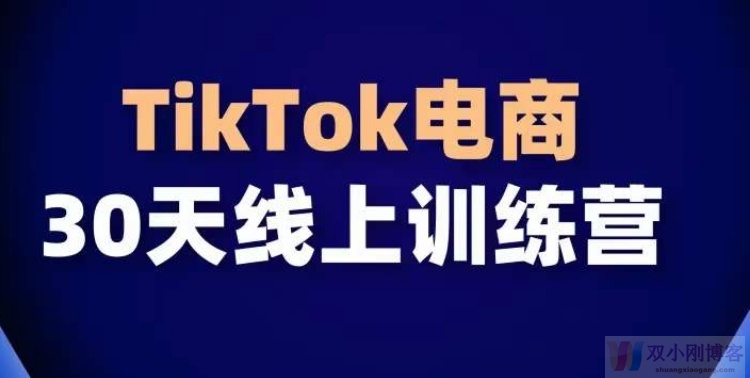 TIKTOK电商带货30天线上课，不可错过的全球流量洼地！