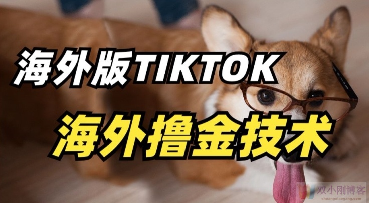 抖音海外版TIKTOK撸金技术，这个风口行业，赚钱真的不难