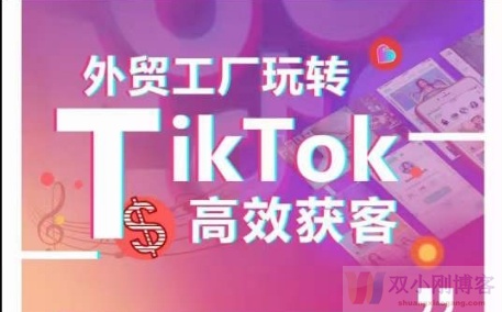 外贸工厂玩转TIKTOK高效获客，多种引流方式与账号定位技巧，拆解爆款短视频打造成功案例