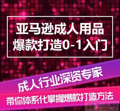 亚马逊成人用品爆款打造0-1入门，系统化讲解亚马逊成人用品爆款打造的流程