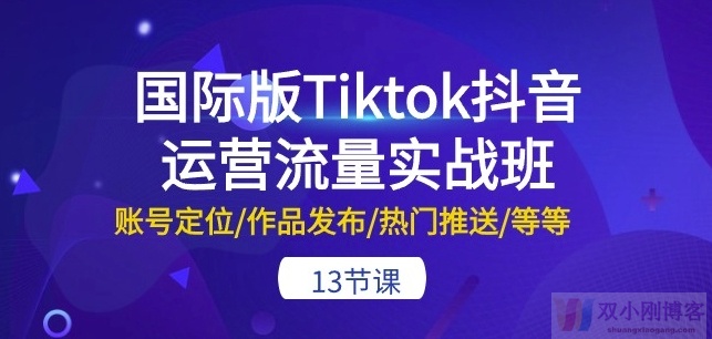 国际版TIKTOK抖音运营流量实战班：账号定位/作品发布/热门推送/等等-13节