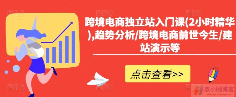 跨境电商独立站入门课(2小时精华),趋势分析/跨境电商前世今生/建站演示等