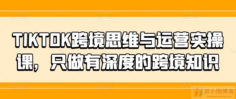 TIKTOK跨境思维与运营实操课，只做有深度的跨境知识