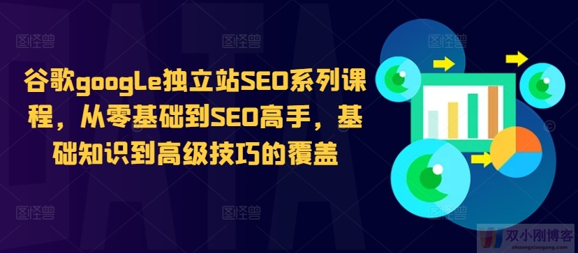 谷歌GOOGLE独立站SEO系列课程，从零基础到SEO高手，基础知识到高级技巧的覆盖